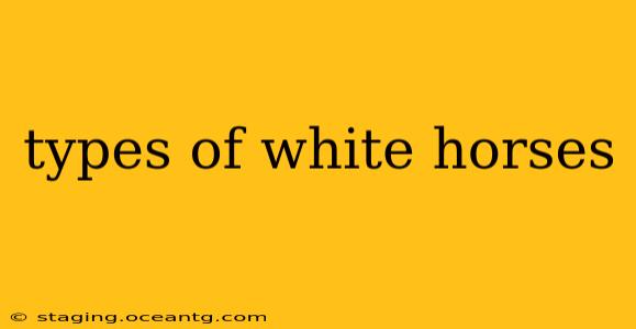 types of white horses
