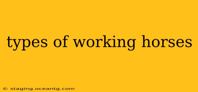 types of working horses