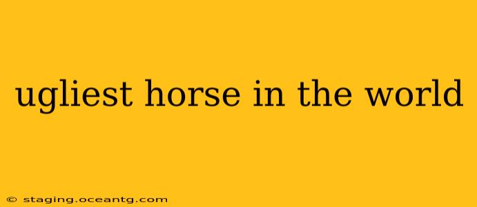 ugliest horse in the world