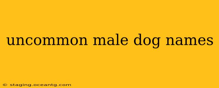 uncommon male dog names