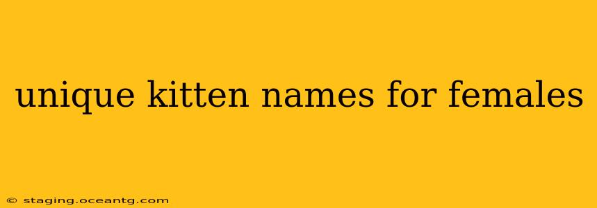 unique kitten names for females