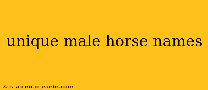 unique male horse names