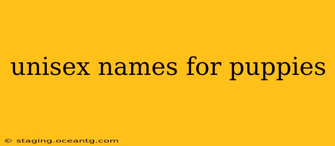 unisex names for puppies