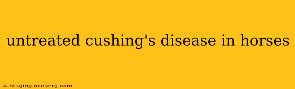 untreated cushing's disease in horses