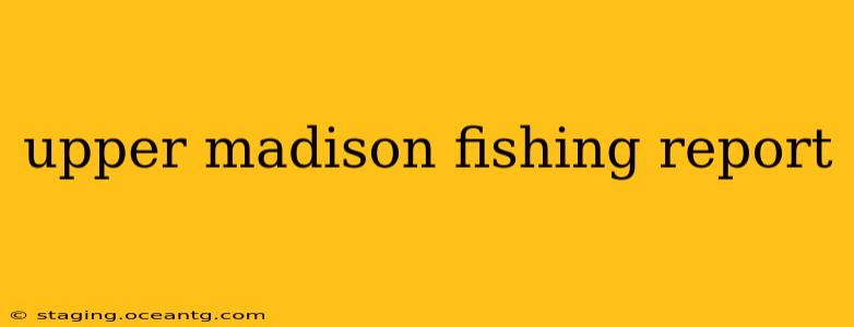 upper madison fishing report