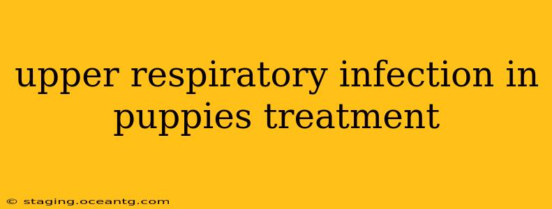 upper respiratory infection in puppies treatment