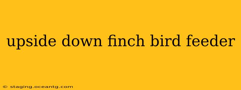 upside down finch bird feeder