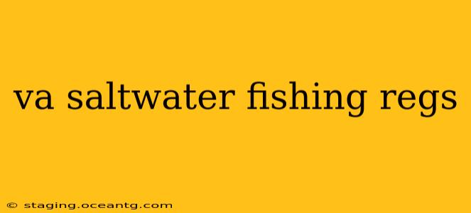va saltwater fishing regs
