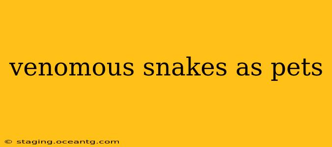 venomous snakes as pets