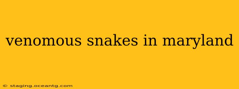 venomous snakes in maryland