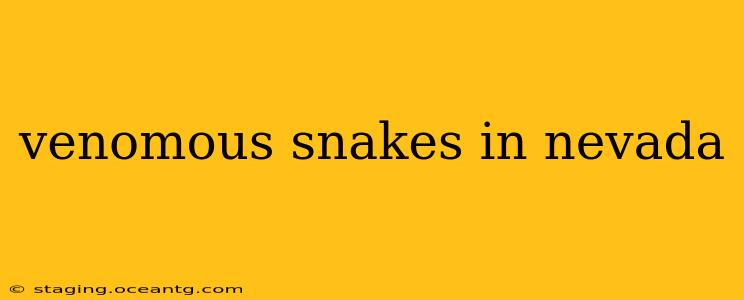 venomous snakes in nevada