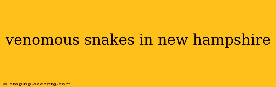 venomous snakes in new hampshire