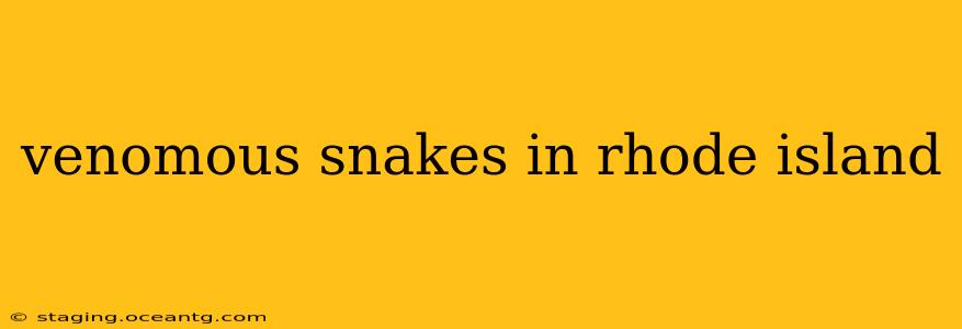 venomous snakes in rhode island