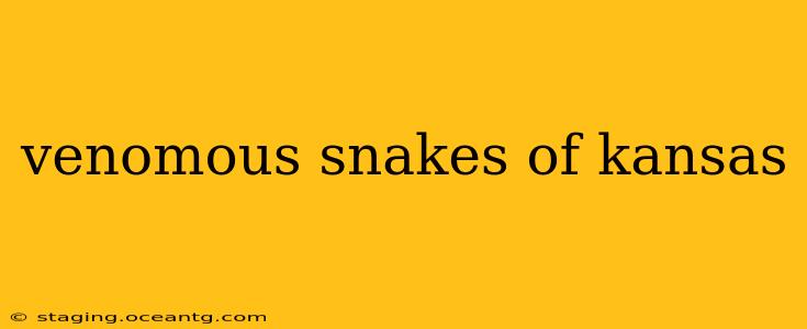 venomous snakes of kansas