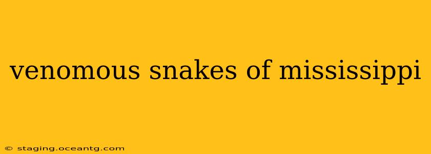 venomous snakes of mississippi