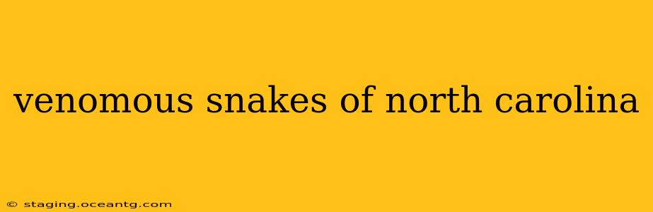 venomous snakes of north carolina