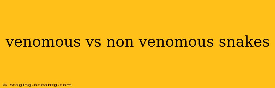 venomous vs non venomous snakes