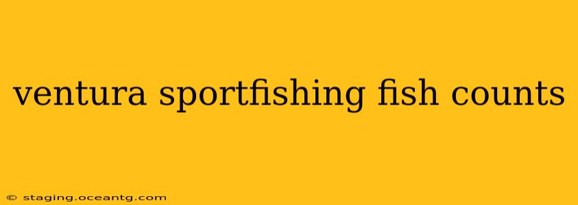 ventura sportfishing fish counts