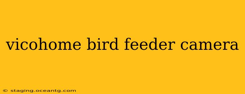 vicohome bird feeder camera