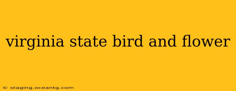virginia state bird and flower
