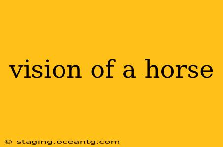 vision of a horse