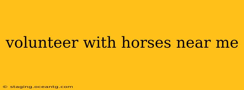 volunteer with horses near me