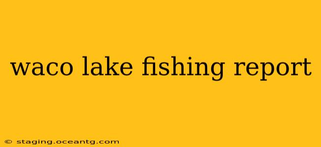 waco lake fishing report