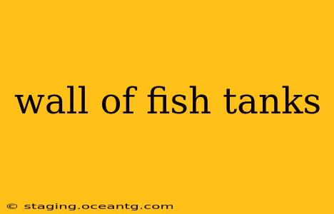 wall of fish tanks