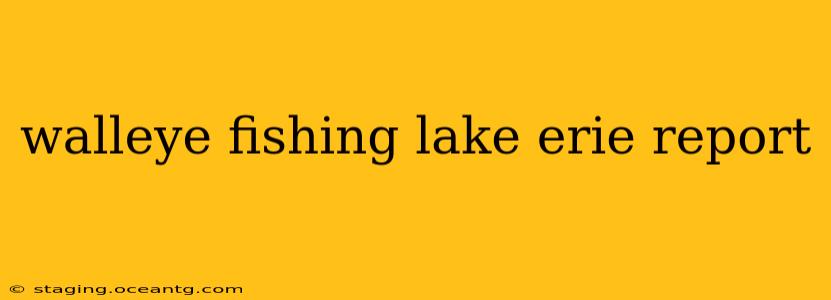 walleye fishing lake erie report
