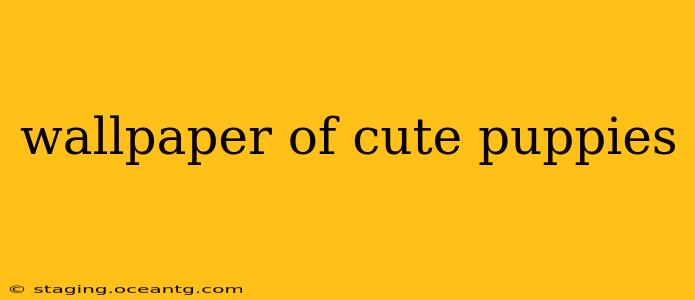 wallpaper of cute puppies
