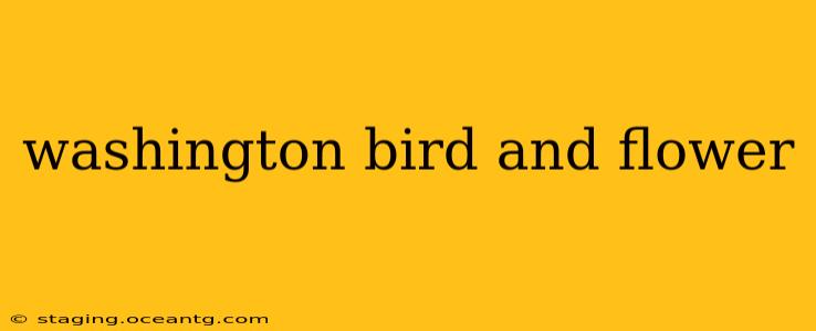 washington bird and flower