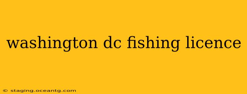 washington dc fishing licence