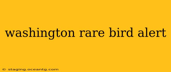 washington rare bird alert