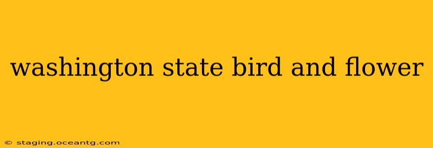 washington state bird and flower
