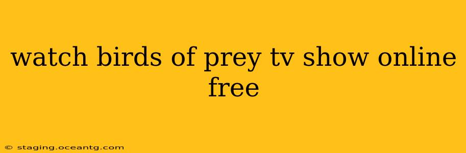 watch birds of prey tv show online free