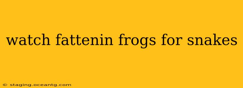 watch fattenin frogs for snakes