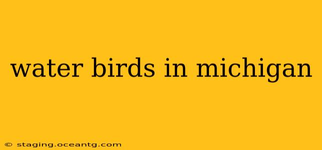 water birds in michigan