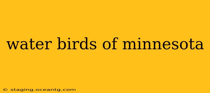 water birds of minnesota