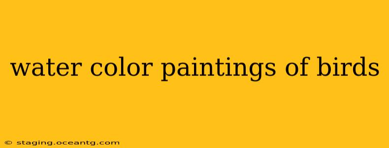 water color paintings of birds