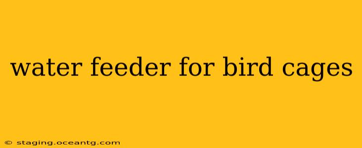 water feeder for bird cages