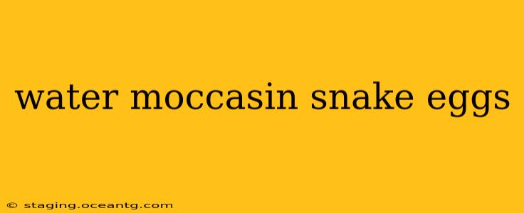 water moccasin snake eggs