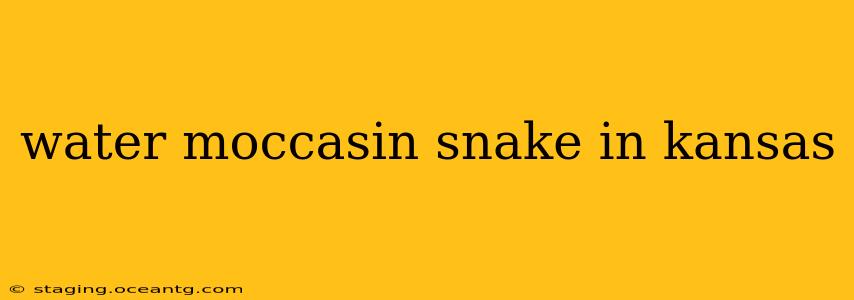 water moccasin snake in kansas