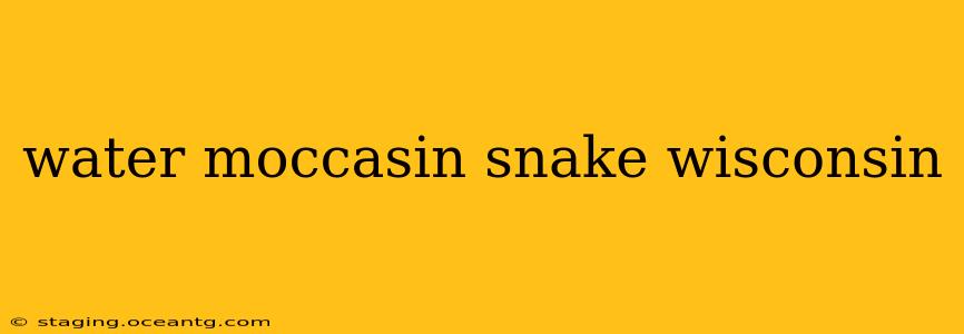 water moccasin snake wisconsin