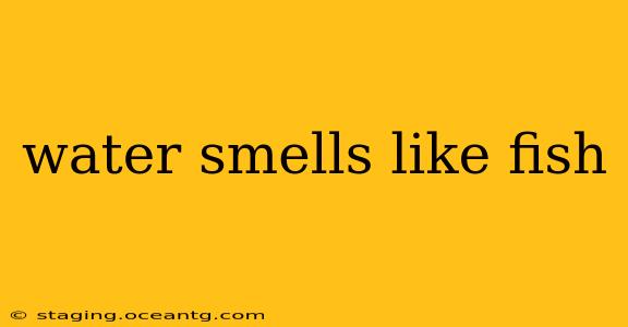 water smells like fish