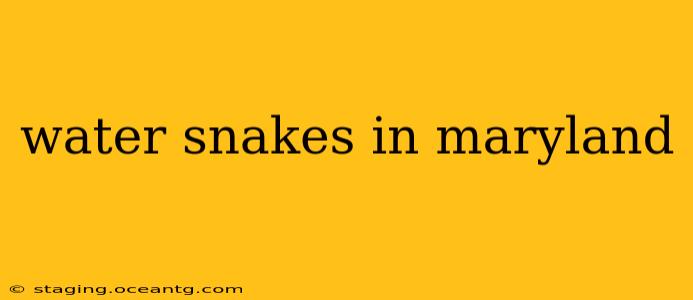 water snakes in maryland