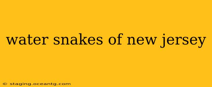 water snakes of new jersey