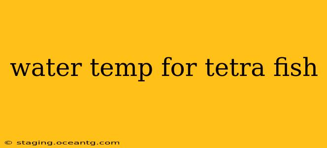 water temp for tetra fish