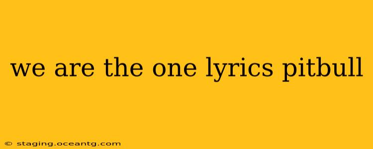 we are the one lyrics pitbull
