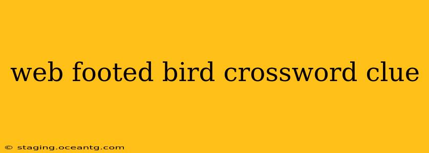 web footed bird crossword clue