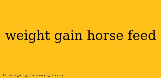weight gain horse feed